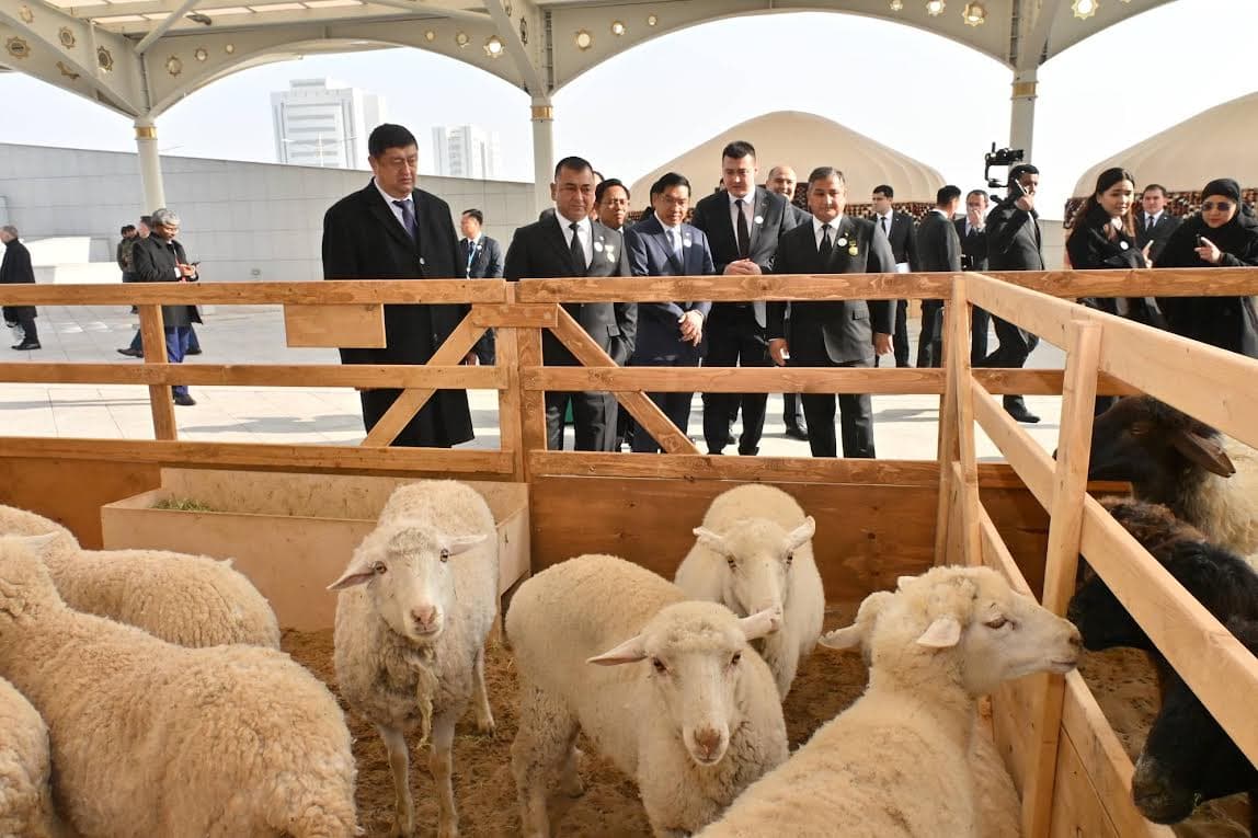 Aşgabatda Bitaraplygyň 30 ýyllygyna bagyşlanan ykdysady üstünlikleriň sergisi açyldy - Media 6